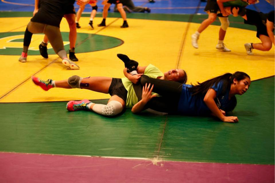 Two girls sparring at summer camp. 